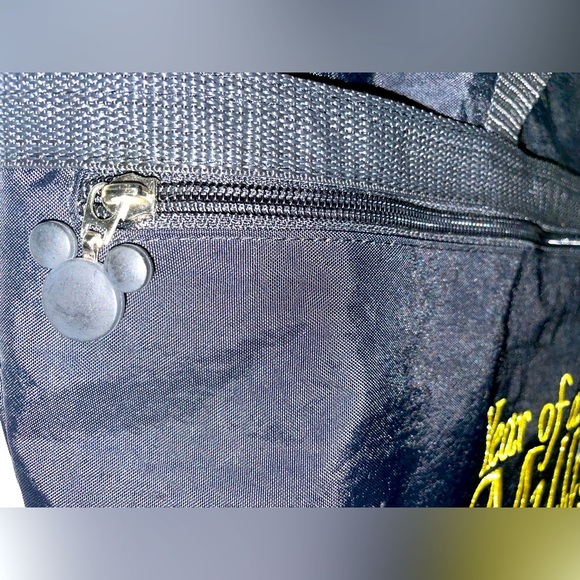 Rare NWT year of a million dreams:Walt Disney World 2008 tote bag/Tinkerbell 🪄 - Picture 13 of 15